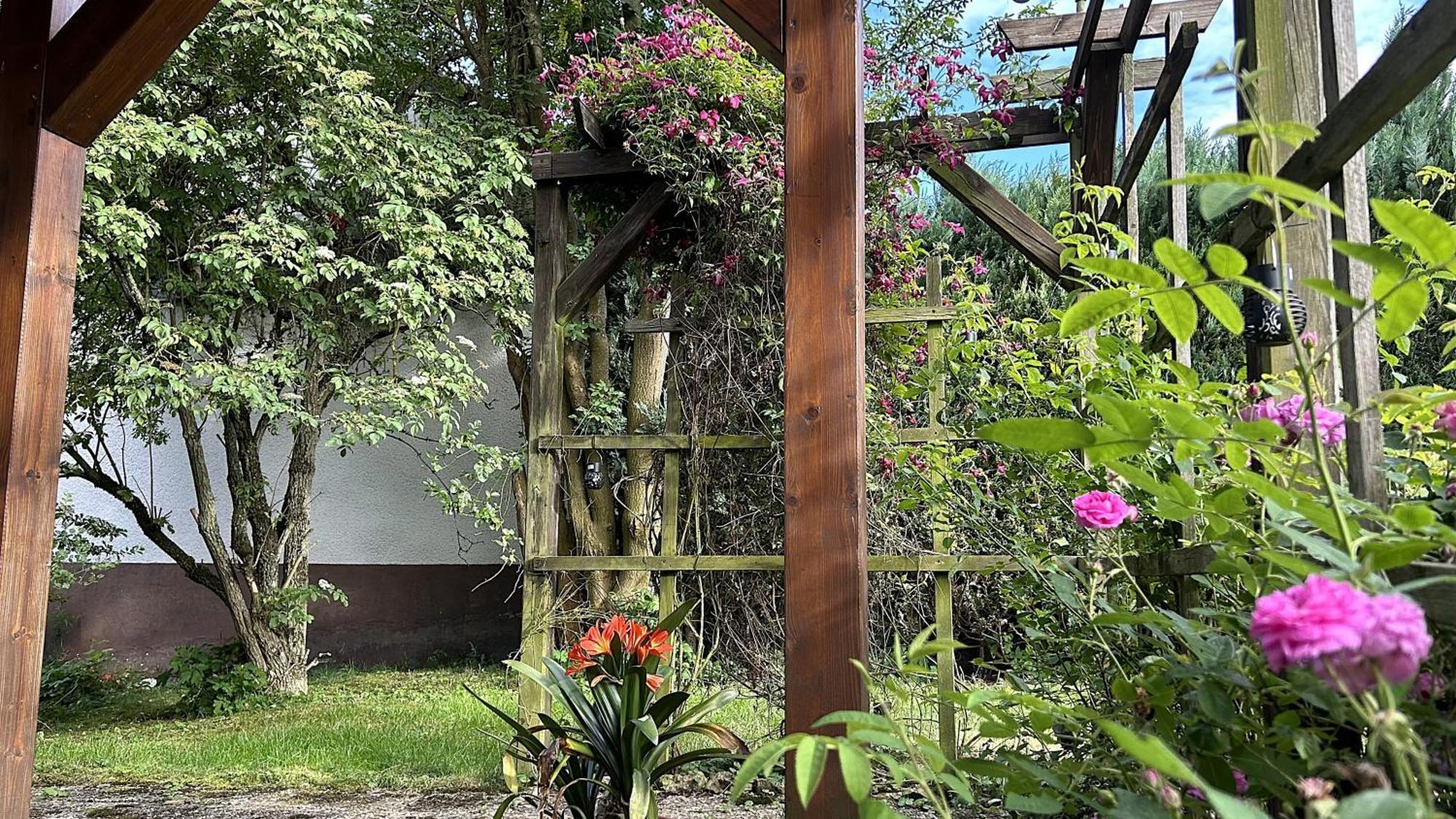Grosszuegige Wohnung Mit Terrasse Und Gartenzugang - Das Komplette Erdgeschoss Bindlach Esterno foto